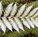 Newlands Landscaping - Builders Australia