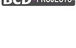 Bcd Projects Pty Ltd - thumb 0