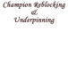 Champion Reblocking  Underpinning - Builders Australia
