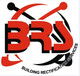 BRS Gold Coast Window Replacement  Handrails - Builders Australia